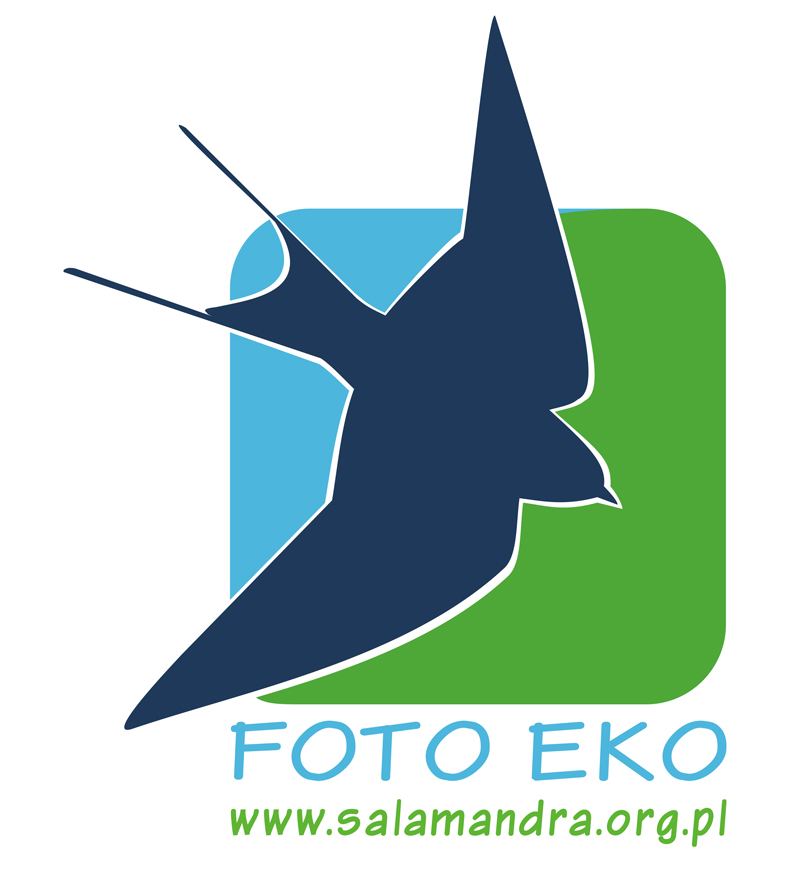 Logo Foto-Eko 2023
